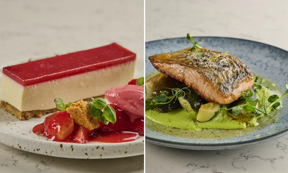 Rapsberry cheesecake and salmon and pea main course