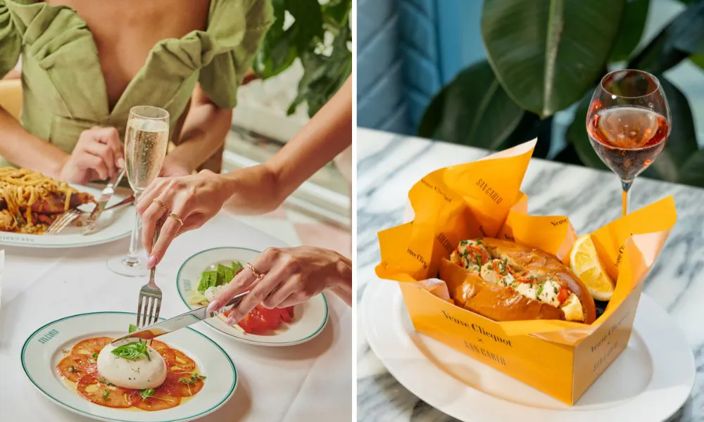 San carlo dishes and champagne