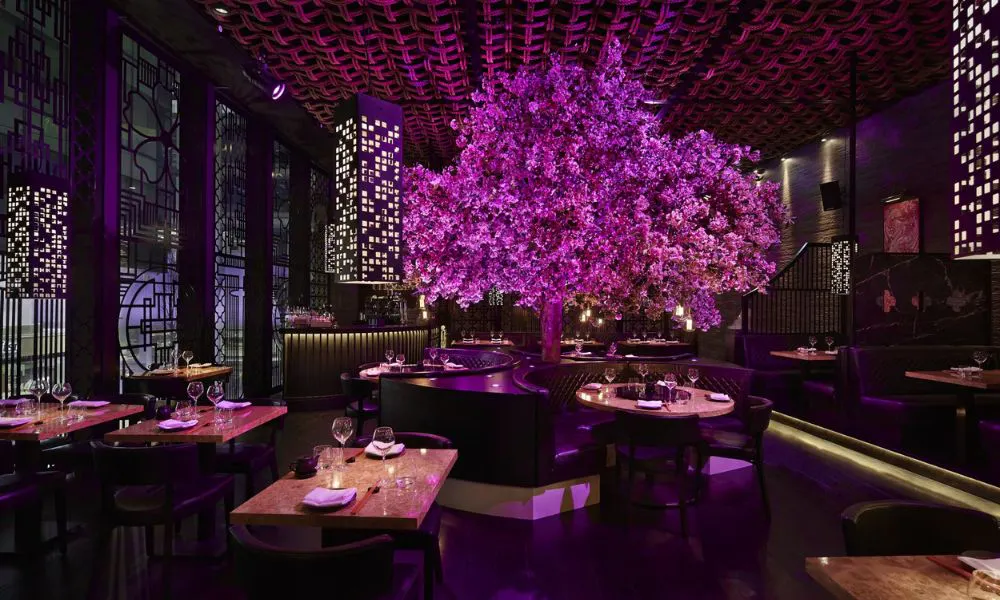idyllic restaurant interiors at Tattu, complete with a pink cherry blossom tree