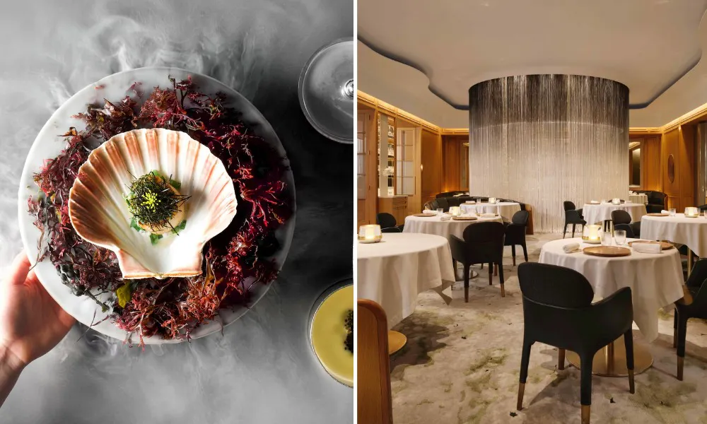 Alain ducasse dining room and scallop dish