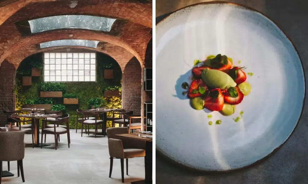 alchemilla dining room