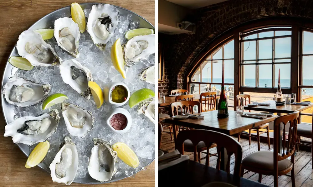 oysters at the copper clam