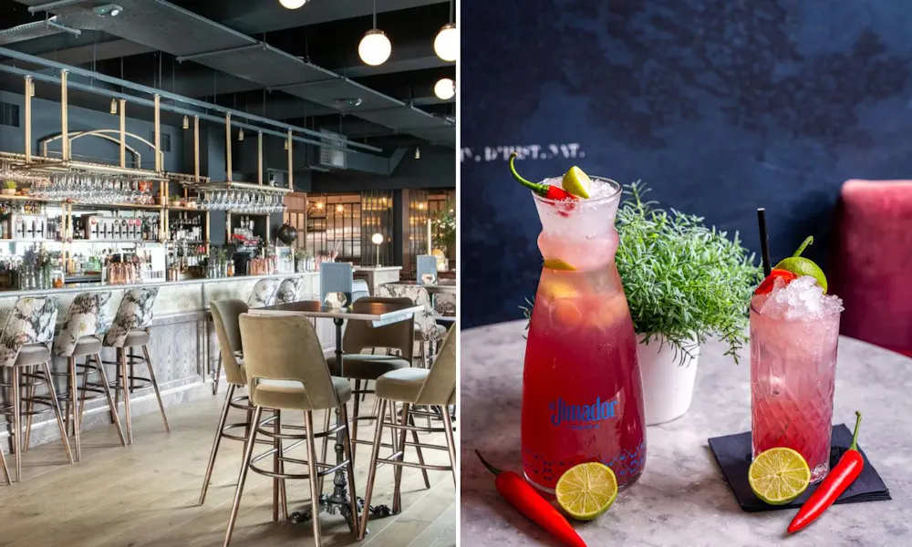 Pitcher cocktails