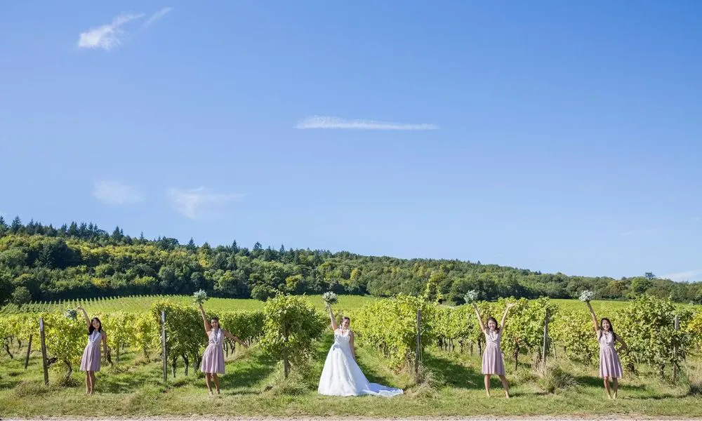 a bride and her bridesmaids posingin a vineyard