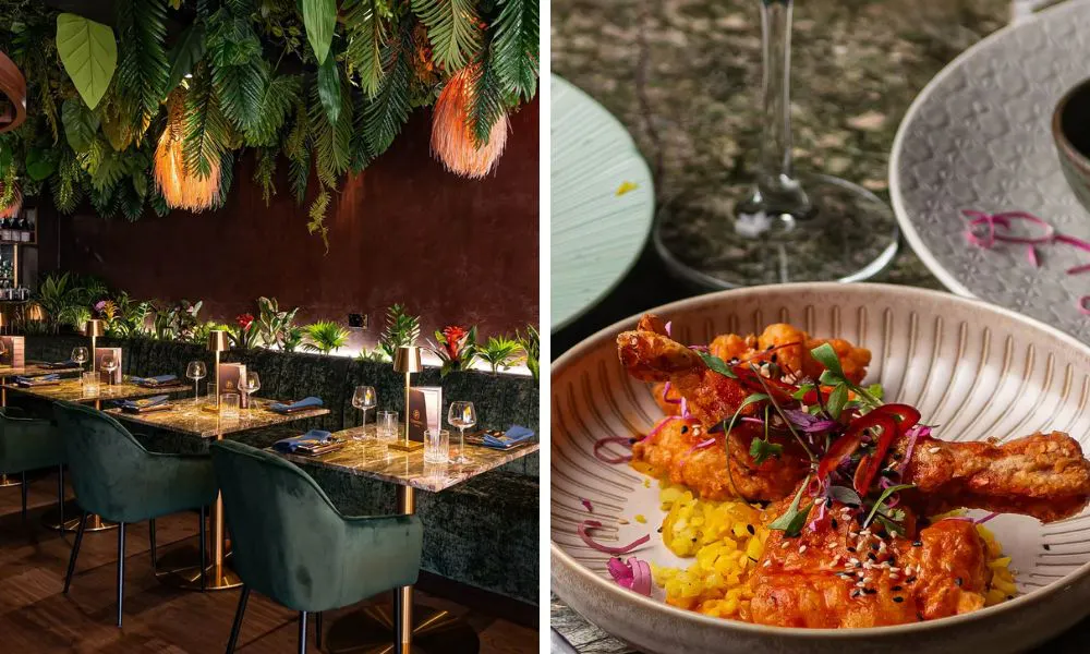 colourful dining room and fried chicken wing with rice and salad