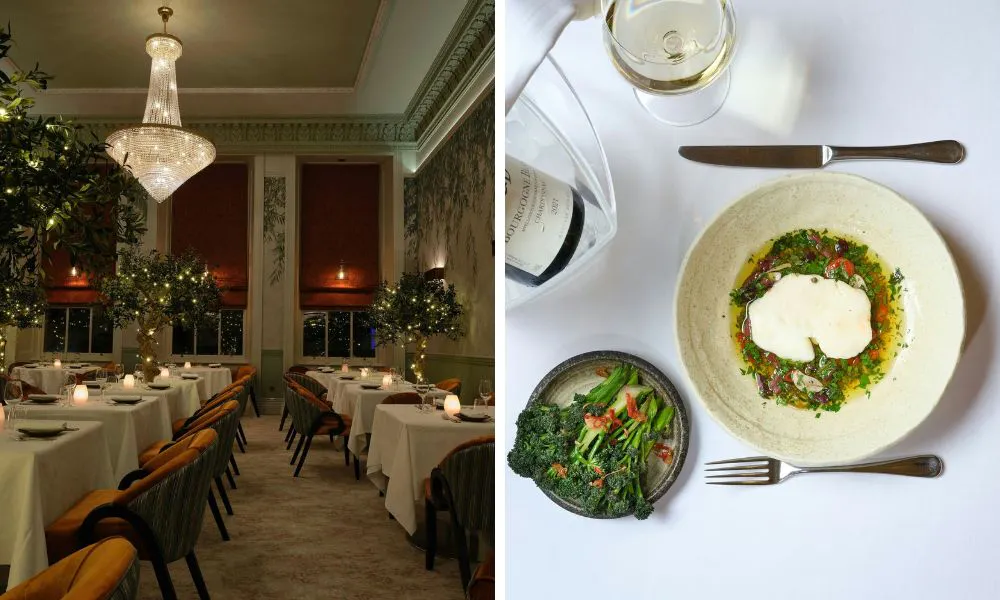 luxury dining room and broccoli with olive oil and herbs