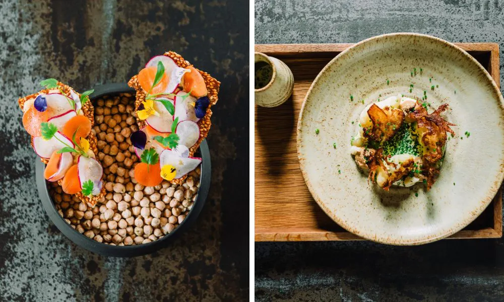 fine dining plates with sesame cracker and radish