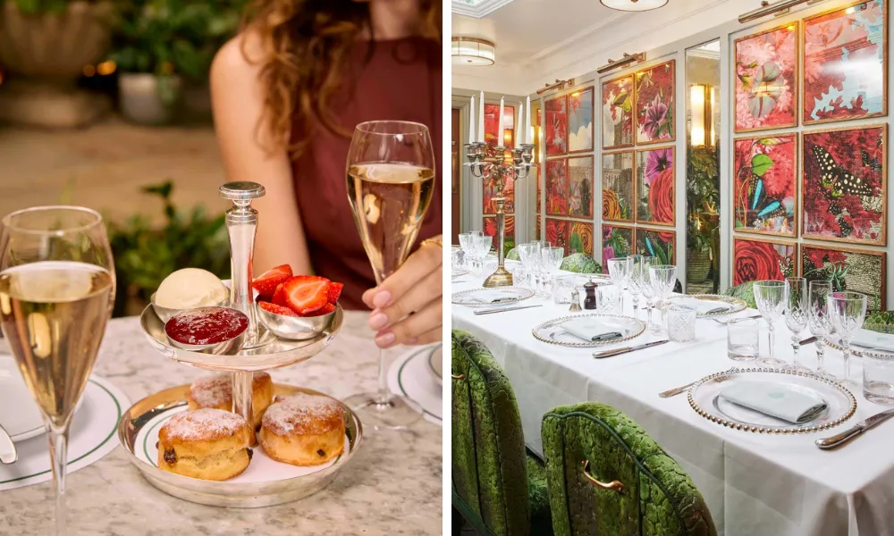 affordable cream tea at the ivy
