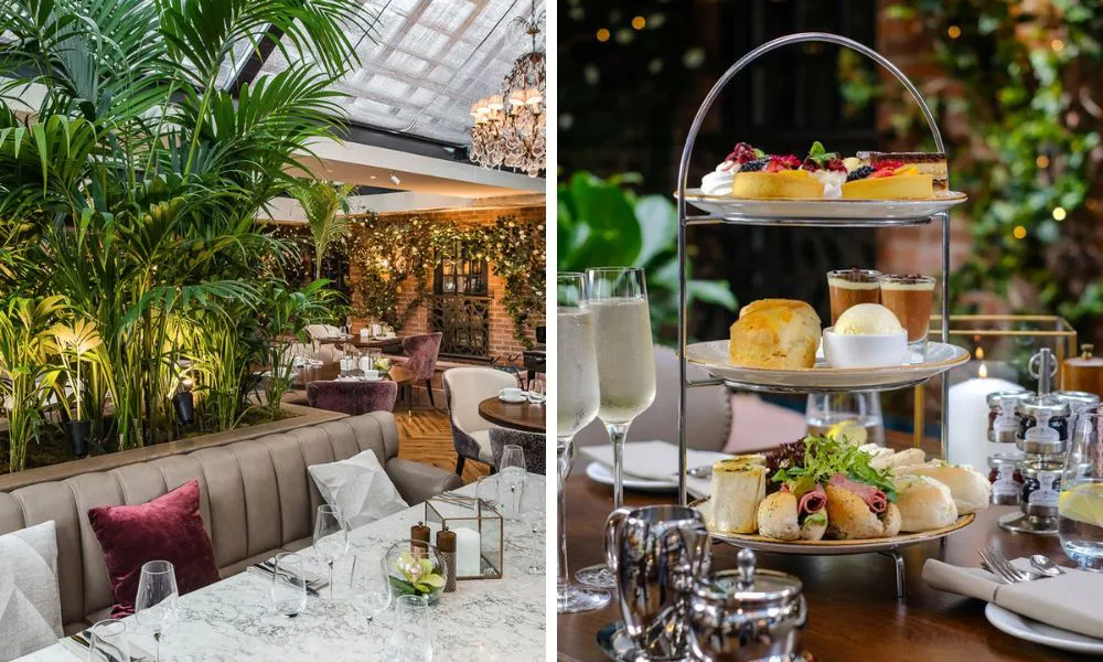 glamorous restaurant with tall plants and three tiered afternoon tea with prosecco