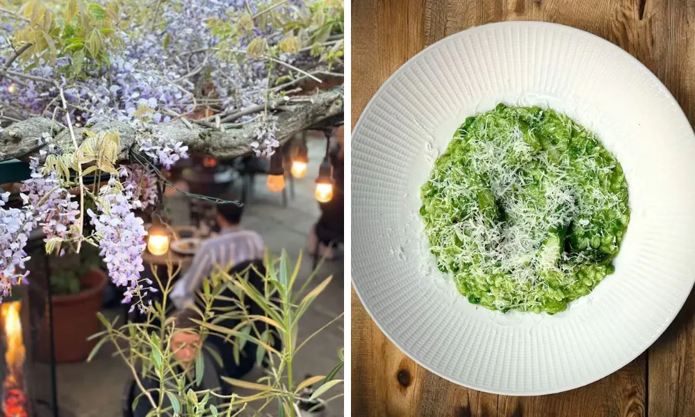 wisteria terrace at shambles