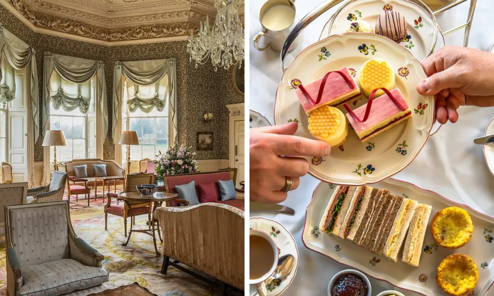 pink and yellow cakes and ornate drawing room