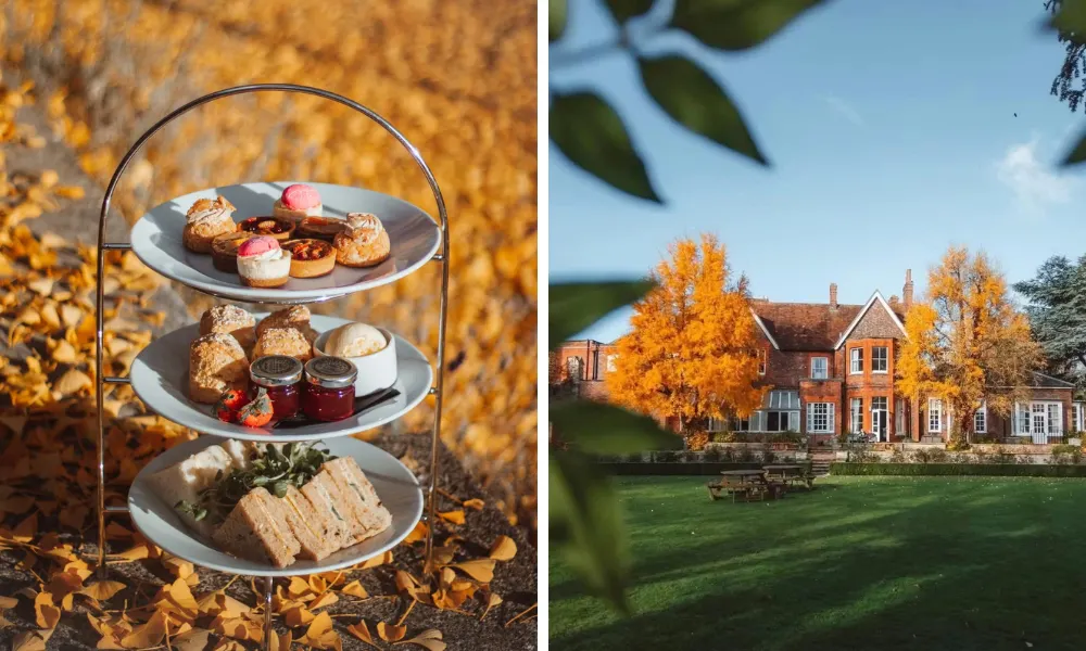 afternoon tea in autumn at Coseners House