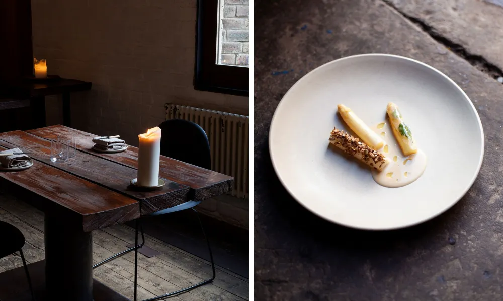 white asparagus dish at timberyard