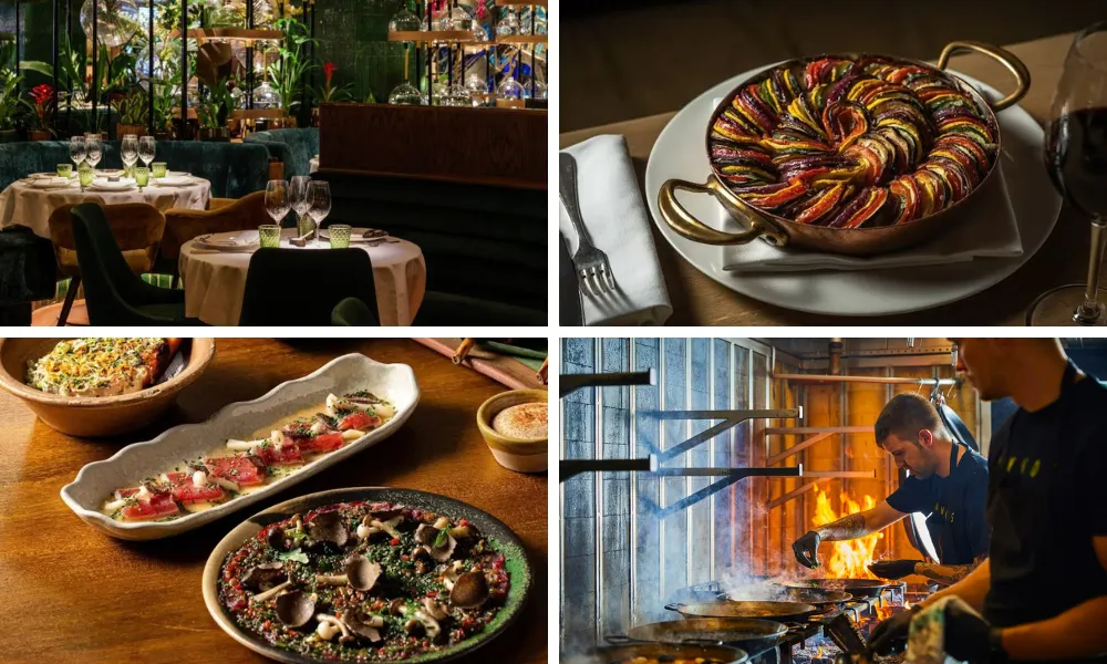 ratatouille, tataki and paella stoves
