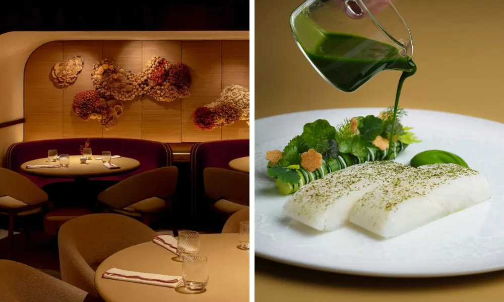 Bonheur interiors and cornish turbot dish