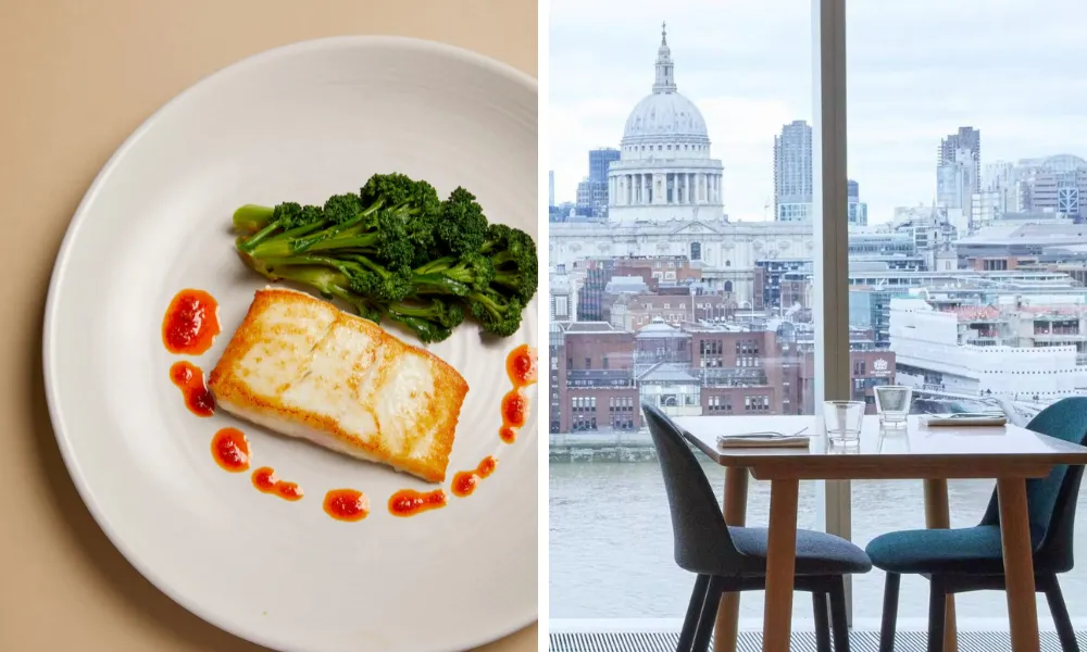 Fish dish and tate modern view