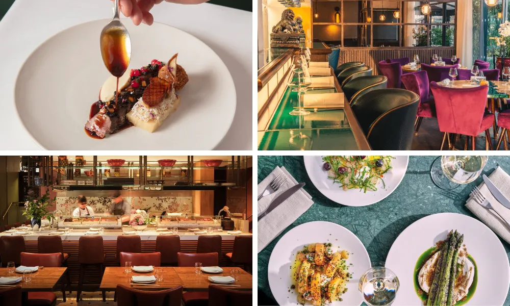fine dining dish and restaurant interiors