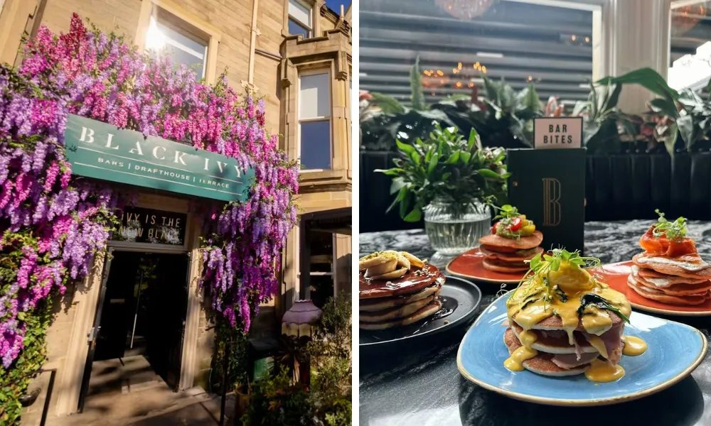 black ivy wisteria and pancakes