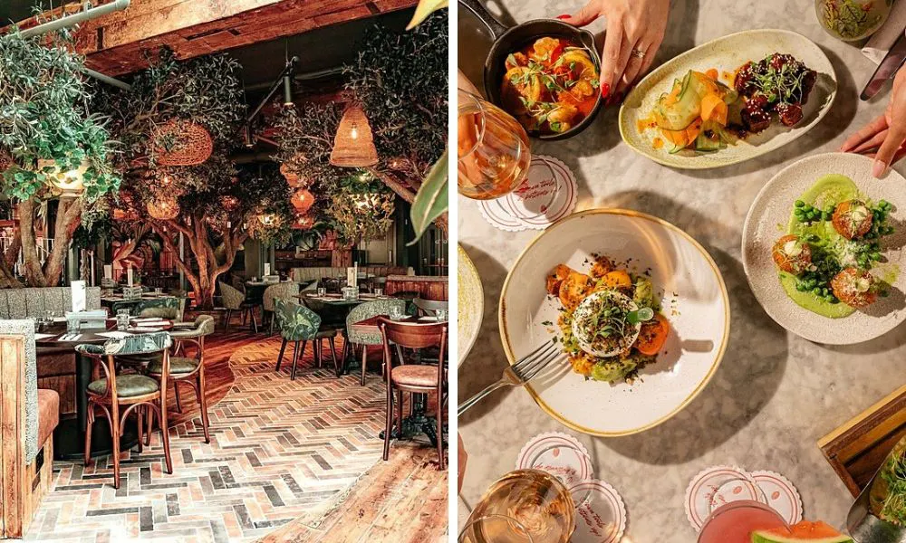 restaurant filled with plants and selection of small plates