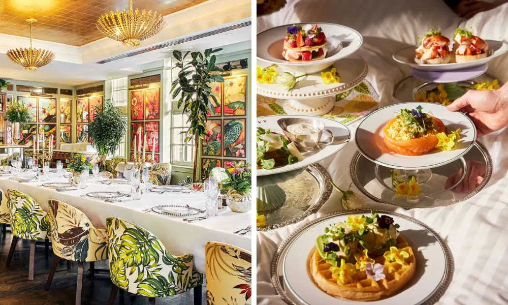 vibrant dining room and brunch spread with smoked salmon