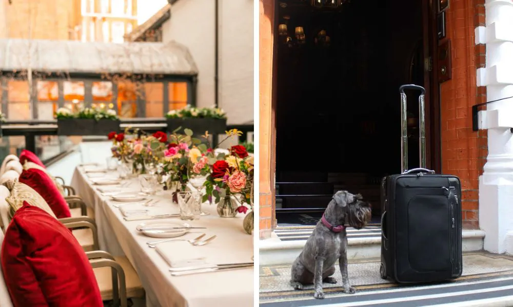 secret garden al fresco dining area and dog with a suitcase on hotel steps