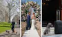 The best pet-friendly wedding venues in London: 14 pup-loving places