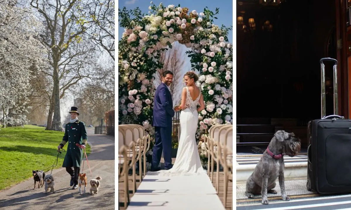 The best pet-friendly wedding venues in London: 14 pup-loving places
