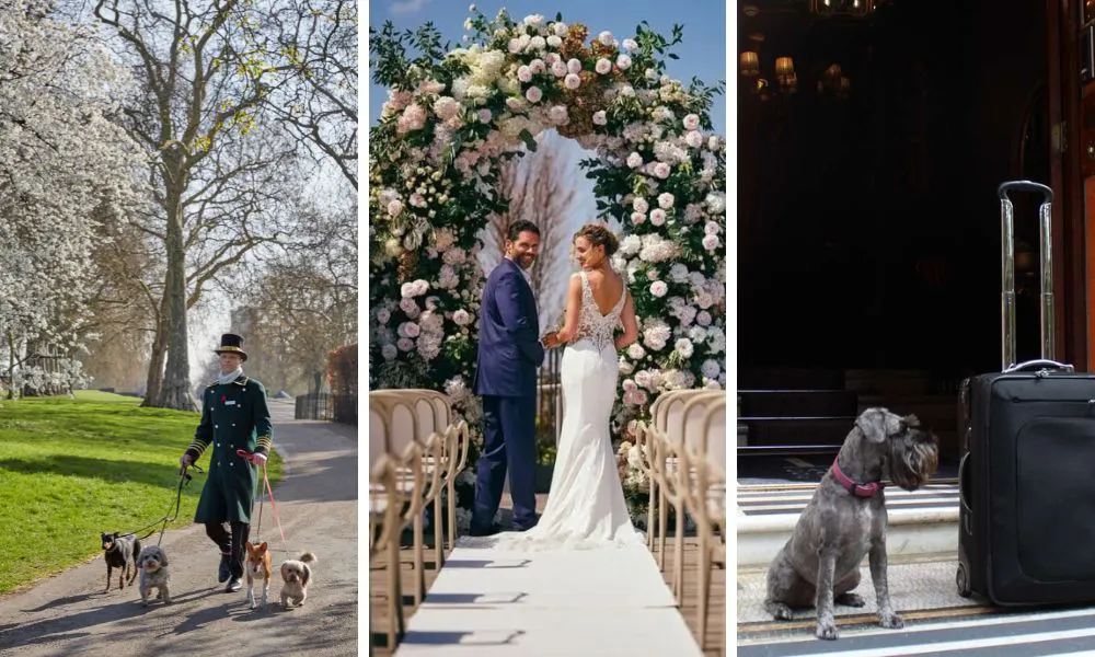 The best pet-friendly wedding venues in London: 14 pup-loving places