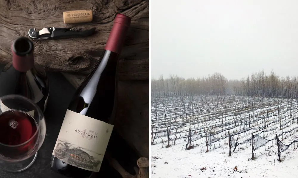 Bottle image and snowy scene