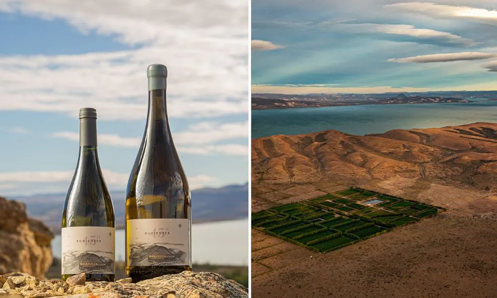 Lifestyle image of Otriona wines