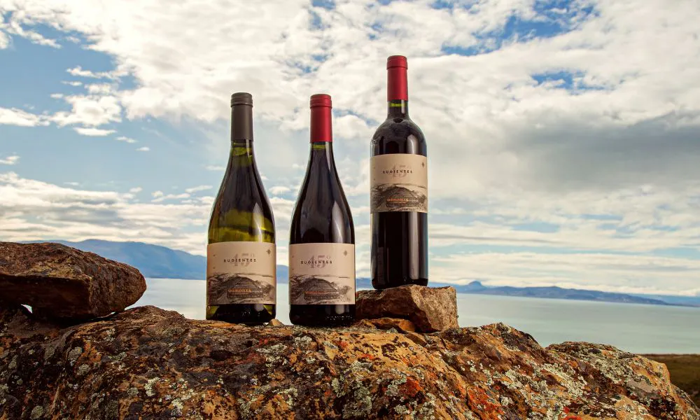 three bottles of wine on a rocky terraine in front of the sea