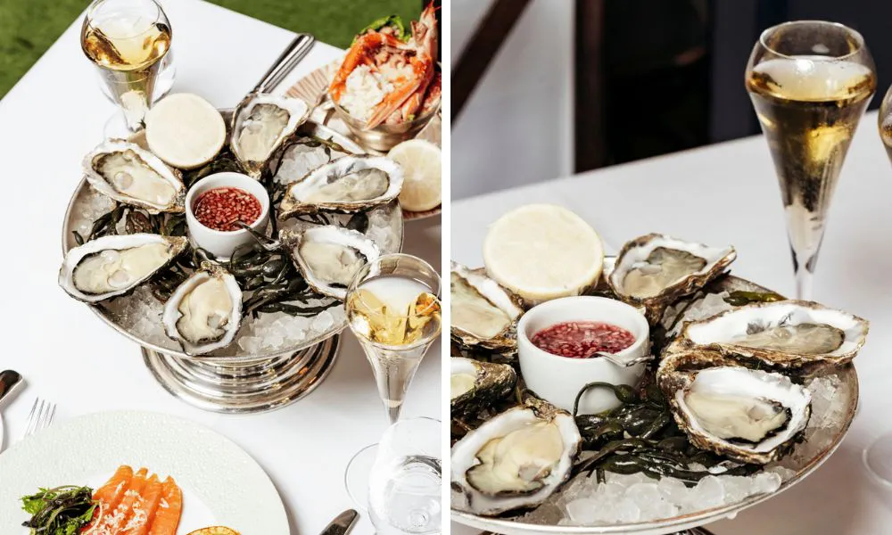 oysters from Bentley's oyster bar
