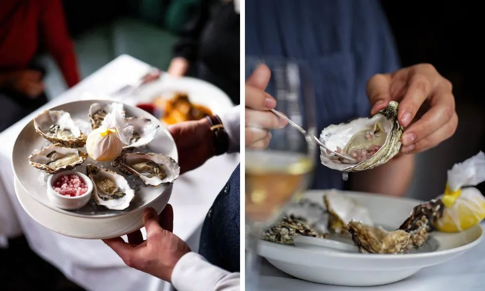 a platter of oysters from the guinea grill