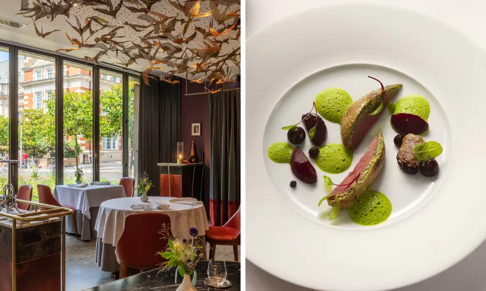 dining at restaurant story