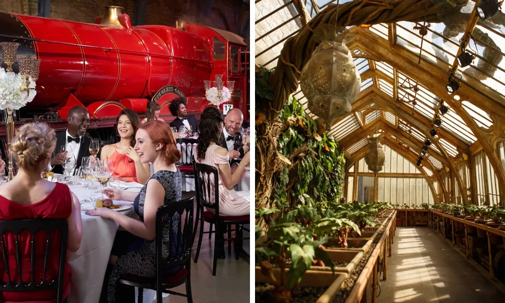 People having dinner on the harry potter platform