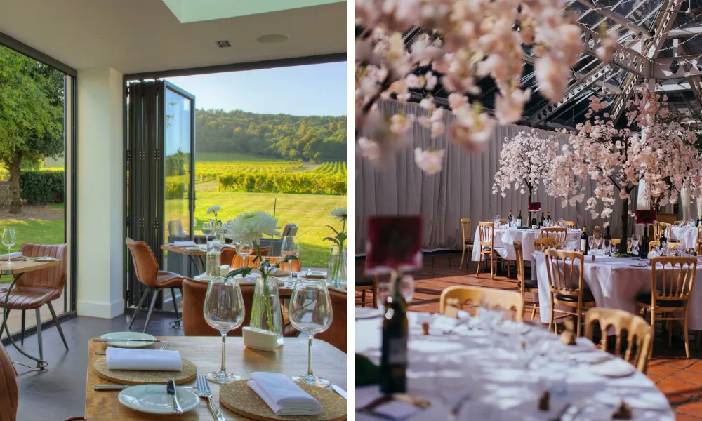 dinner tables with a view of a vineyard in the sun