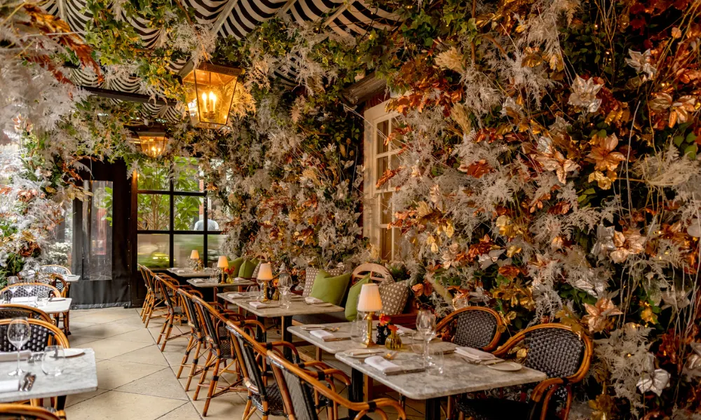 elegant festive terrace dressed with pinecones