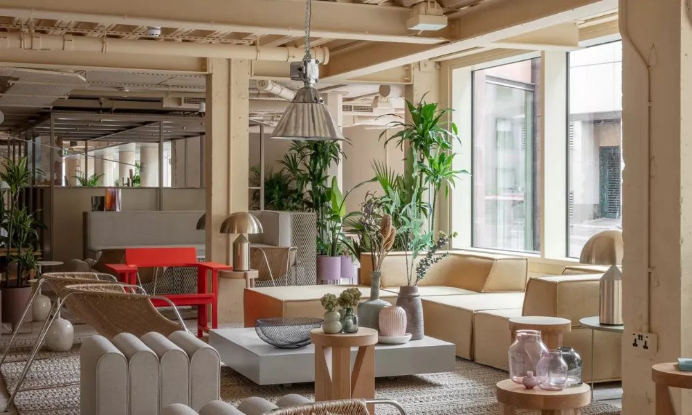 frequency coffee lounge