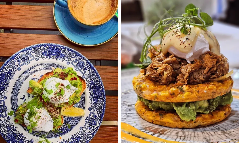 egg and avocado on a patterned blue plate