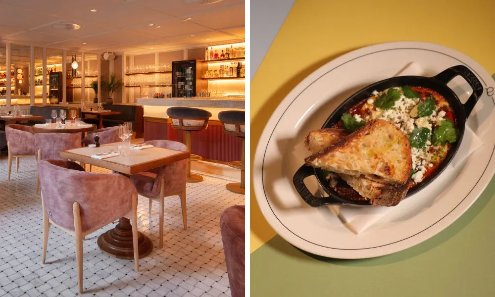 sleek pink interiors and shakshuka