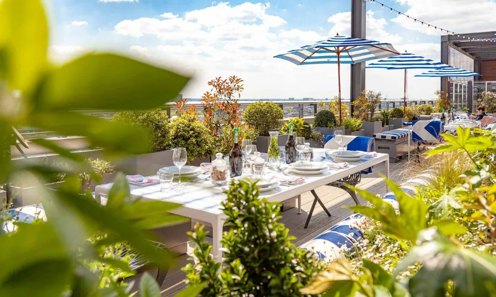 Skylark roof garden in paddington 