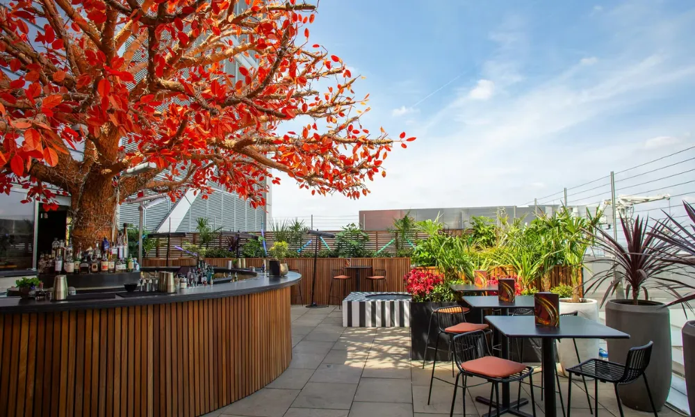 red leaf tree installation at sushisamba heron tower