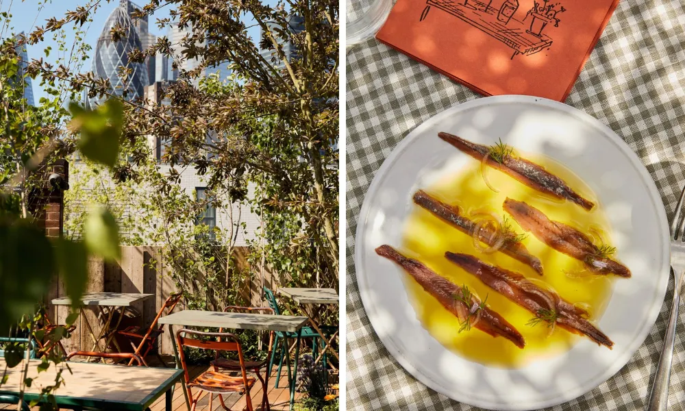 sunny garden terrace with plate of anchovies