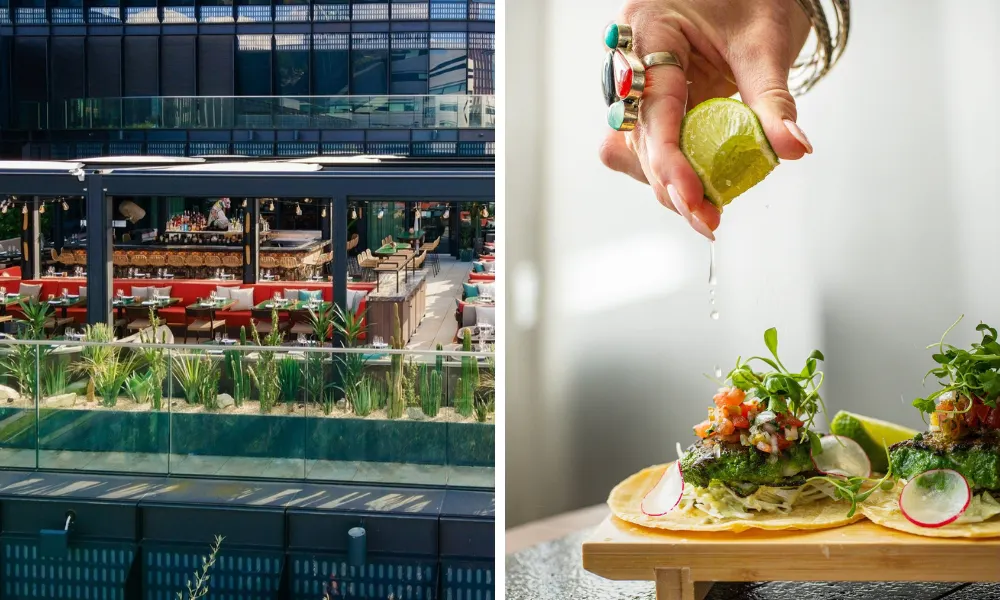 Rooftop terrace and tacos with lime