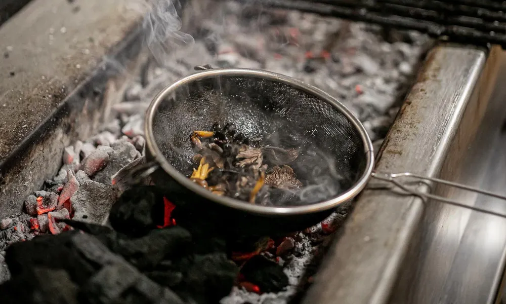 smoking mushrooms at mangal II