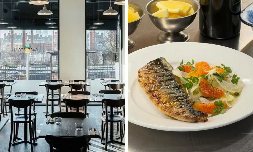 restaurant with views over river and fish with fennel salad