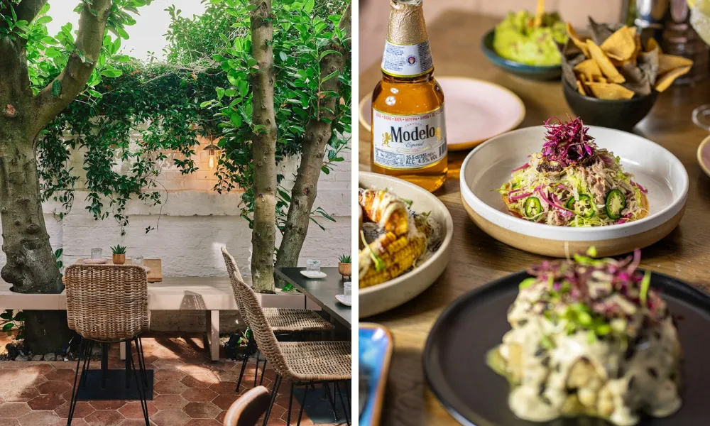 modelo and tacos outside at 1910 cantina
