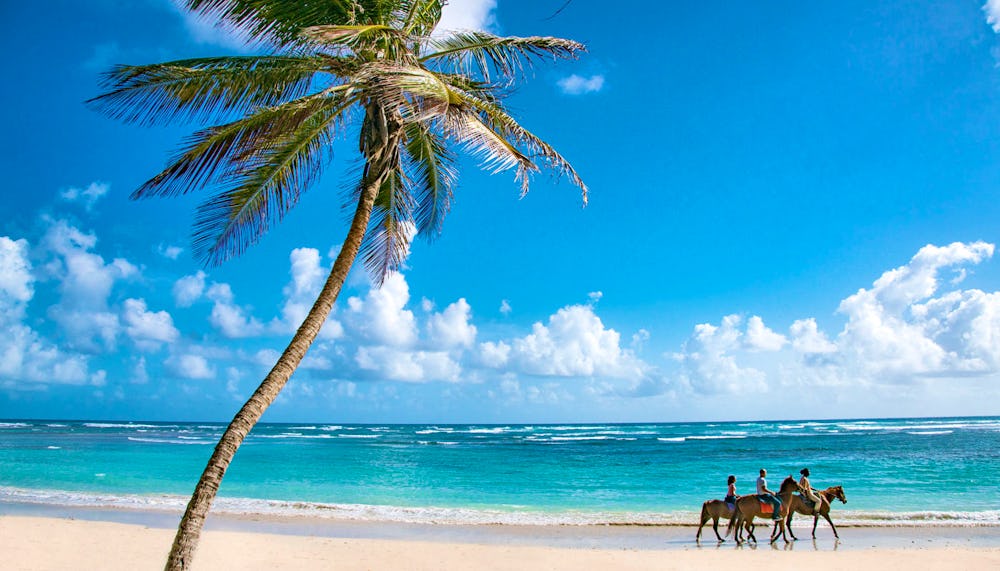 Horse riding Barbados beach