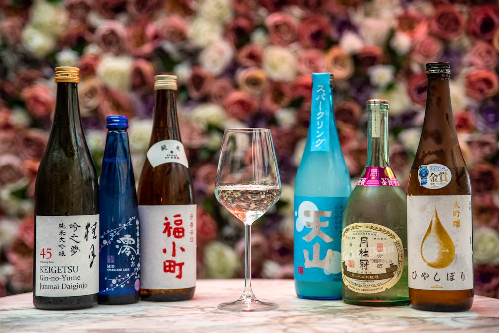 Sake lineup