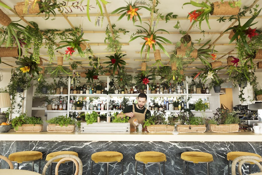 A 'Living Bar' will open in London